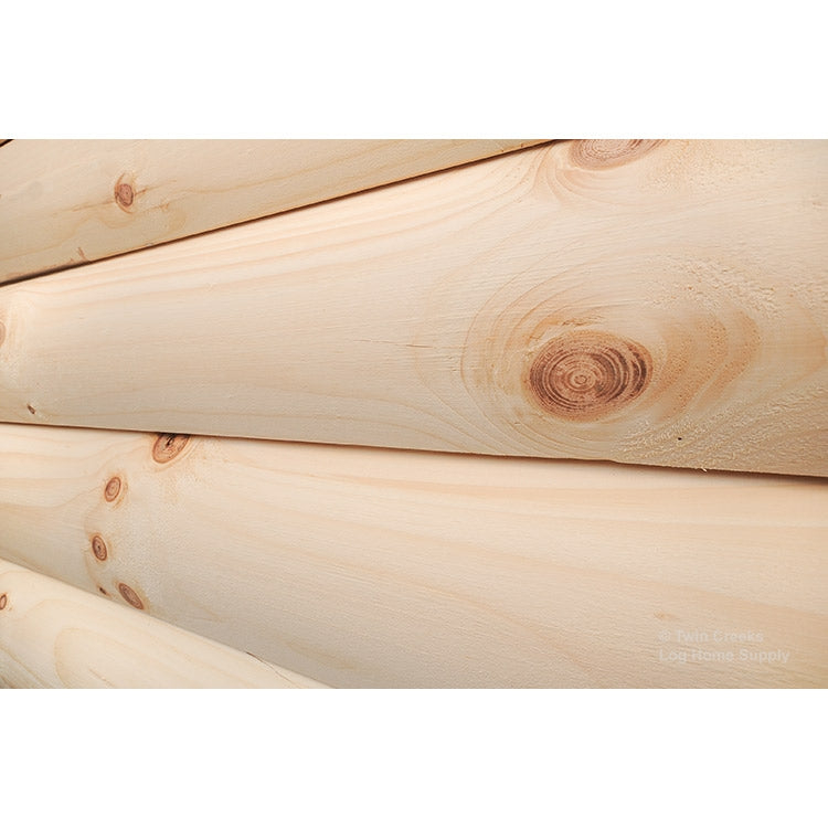 8x8 White Pine D Log (D Log Face Angled Close)