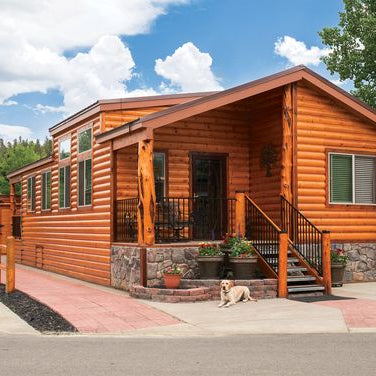 Cetol Log and Siding Exterior Stain -- Natural (078)