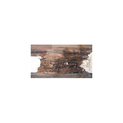 Sealed Damaged Wood Photo
