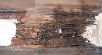 Damaged Wood That Can Be Restored With E-Wood