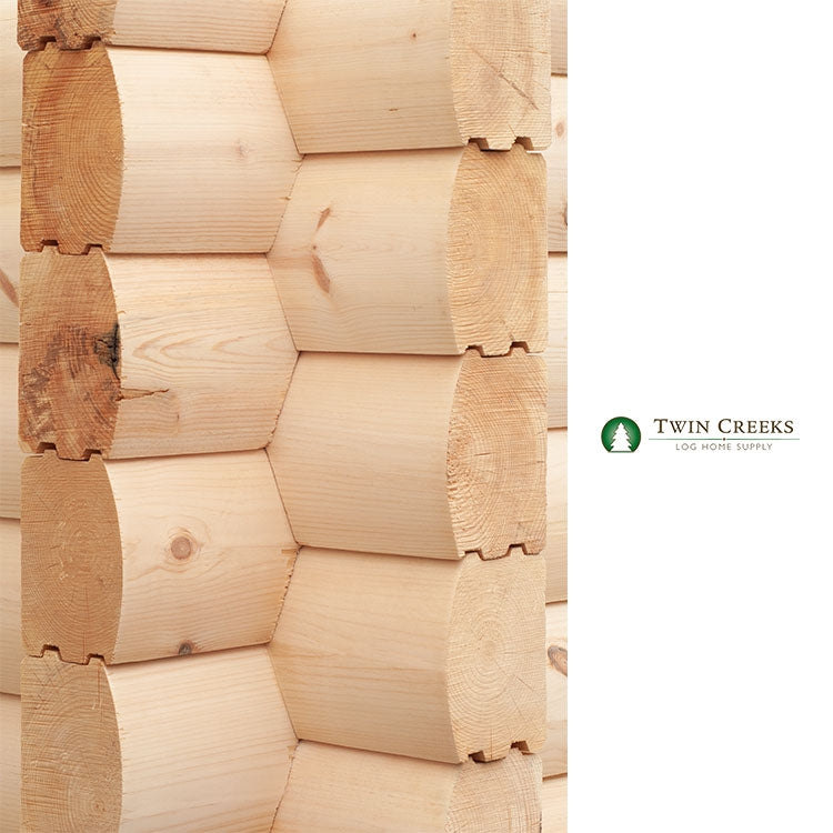 Closeup of 6x8 White Pine "D" Log Corner Section with Saddlenotch Corner Cuts
